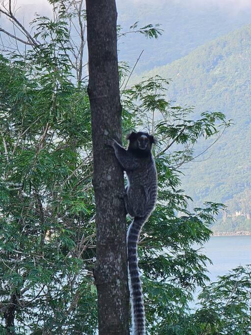 מלון Florianópolis Nosso Mar מראה חיצוני תמונה
